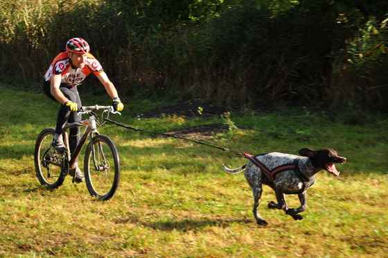 /_userfiles_/dogtrainer/gallery/20120606003356_bikejoring.jpg
